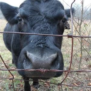 Meet your Posher, Debra